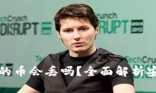 区块链钱包的币会丢吗？全面解析安全性与风险