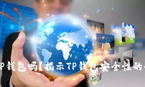 有假的TP钱包吗？揭示TP钱包安全性的全面分析
