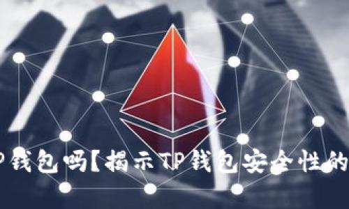 有假的TP钱包吗？揭示TP钱包安全性的全面分析
