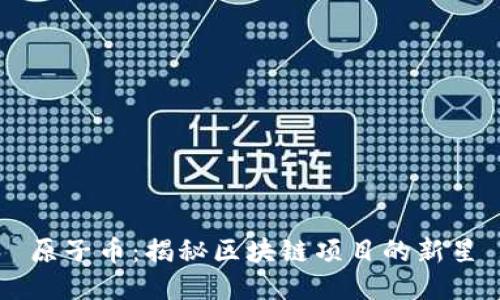 原子币：揭秘区块链项目的新星