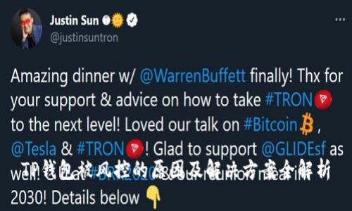 TP钱包被风控的原因及解决方案全解析