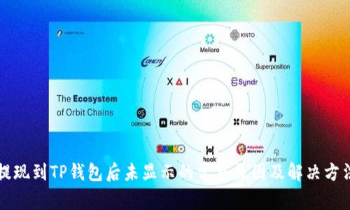 提现到TP钱包后未显示的常见原因及解决方法
