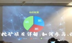 TP钱包存U挖矿项目详解：如何参与、收益和风险