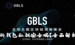 TP钱包生成的钱包私钥安全吗？全面解析与风险防