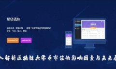深入解析区块链大零币市值的影响因素与未来展