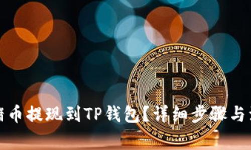 如何将猪币提现到TP钱包？详细步骤与注意事项