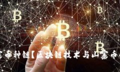 什么是山寨币种链？区块链技术与山寨币的深度