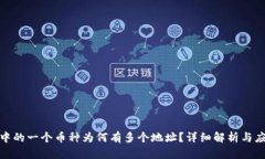 TP钱包中的一个币种为何有多个地址？详细解析与