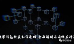 TP数字钱包被盗如何追回：全面解析与有效应对策