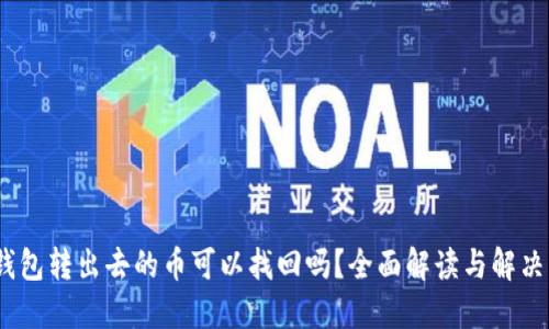 :TP钱包转出去的币可以找回吗？全面解读与解决方案