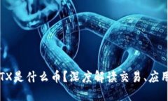 区块链TX是什么币？深度解读交易、应用与未来