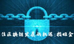 如何在上海抓住区块链发展的机遇：指旺金与币