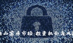 区块链山寨币市场：投资机会与风险剖析