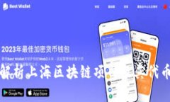 全面解析上海区块链项目及其代币代码