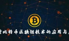 深入探讨比特币区块链技术的应用与未来发展