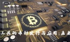 区块链支付工具的币种发行与应用：未来金融的