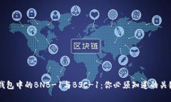深入解析TP钱包中的BNB-1与BSC-1：你必须知道的关