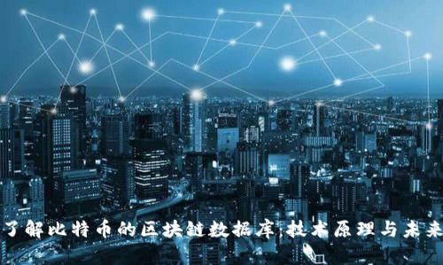深入了解比特币的区块链数据库：技术原理与未来趋势